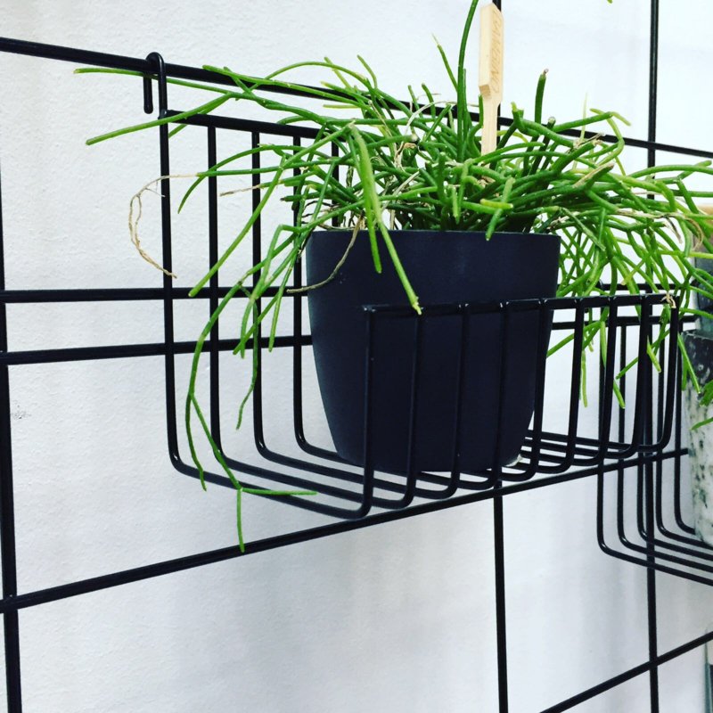 Hängekorb aus Metall klein (U-Form)