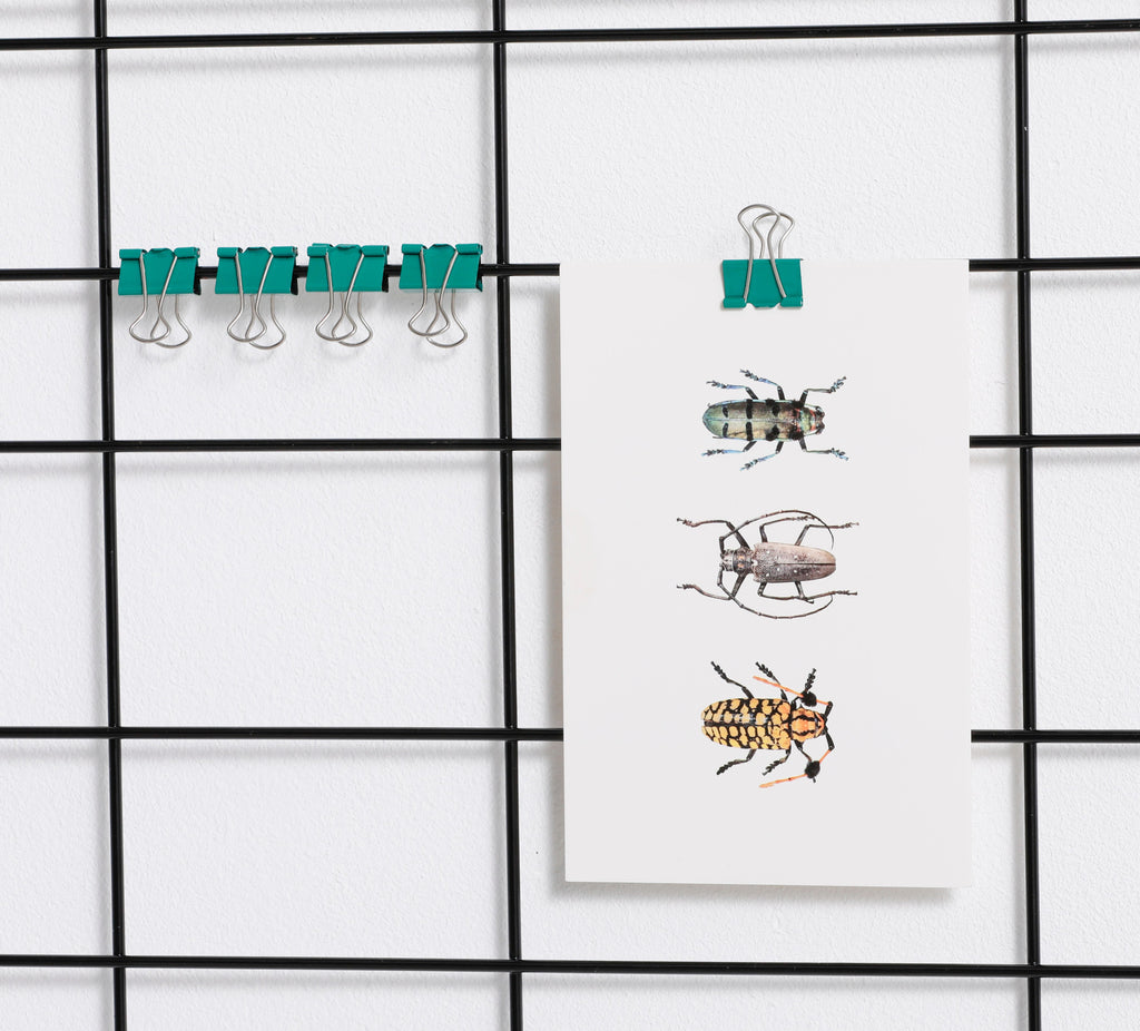 Papierklammern 19 mm